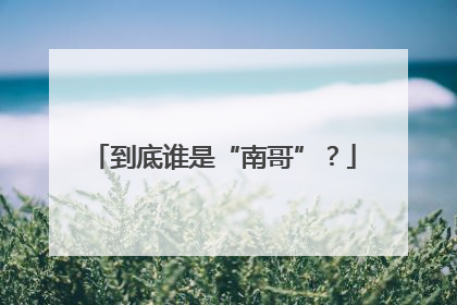 到底谁是“南哥”？