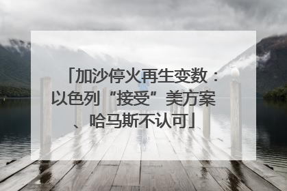 加沙停火再生变数:以色列“接受”美方案、哈马斯不认可