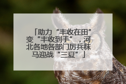 助力“丰收在田”变“丰收到手”，河北各地各部门厉兵秣马迎战“三夏”