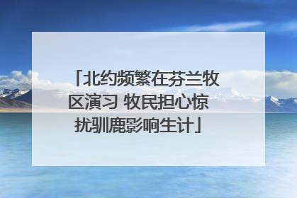 北约频繁在芬兰牧区演习 牧民担心惊扰驯鹿影响生计
