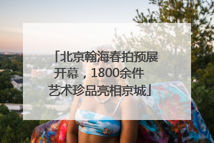 北京翰海春拍预展开幕，1800余件艺术珍品亮相京城