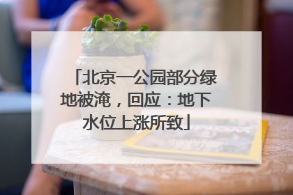 北京一公园部分绿地被淹，回应：地下水位上涨所致