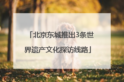 北京东城推出3条世界遗产文化探访线路