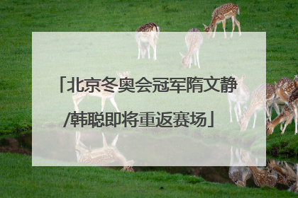 北京冬奥会冠军隋文静/韩聪即将重返赛场