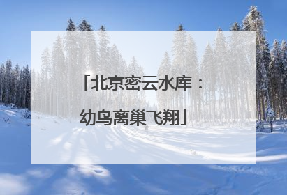 北京密云水库：幼鸟离巢飞翔
