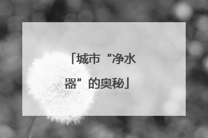 城市“净水器”的奥秘