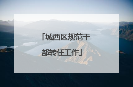 城西区规范干部转任工作