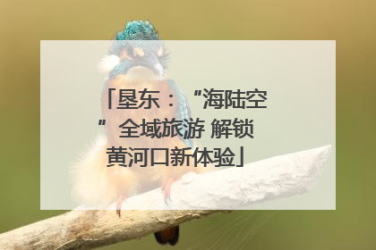 垦东：“海陆空”全域旅游 解锁黄河口新体验