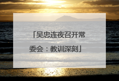 吴忠连夜召开常委会：教训深刻