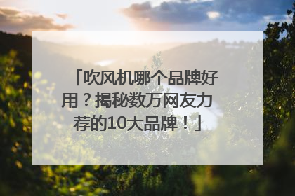 吹风机哪个品牌好用？揭秘数万网友力荐的10大品牌！