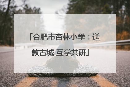 合肥市杏林小学：送教古城 互学共研