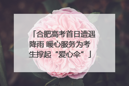 合肥高考首日遭遇降雨 暖心服务为考生撑起“爱心伞”