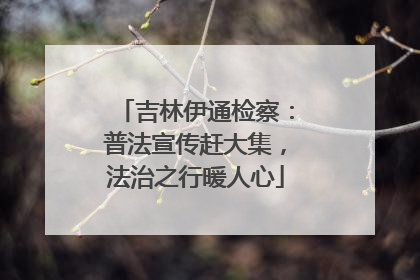 吉林伊通检察：普法宣传赶大集，法治之行暖人心