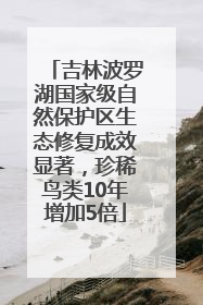吉林波罗湖国家级自然保护区生态修复成效显著，珍稀鸟类10年增加5倍