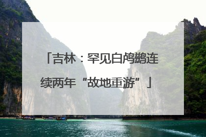 吉林：罕见白鸬鹚连续两年“故地重游”