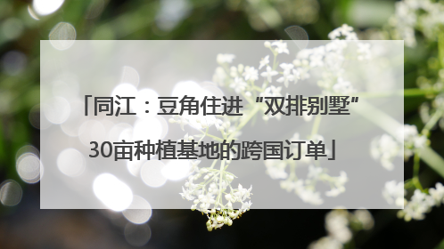 同江：豆角住进“双排别墅” 30亩种植基地的跨国订单