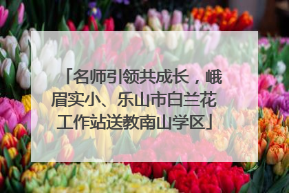 名师引领共成长，峨眉实小、乐山市白兰花工作站送教南山学区