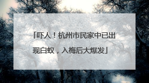 吓人！杭州市民家中已出现白蚁，入梅后大爆发