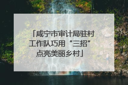 咸宁市审计局驻村工作队巧用“三招”点亮美丽乡村