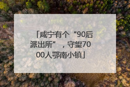 咸宁有个“90后派出所”，守望7000人鄂南小镇
