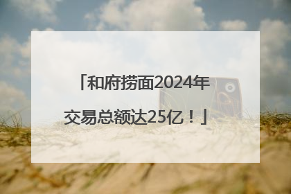和府捞面2024年交易总额达25亿！