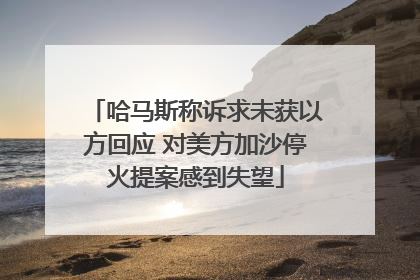 哈马斯称诉求未获以方回应 对美方加沙停火提案感到失望