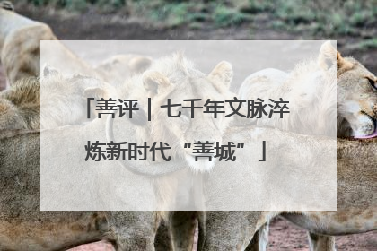 善评｜七千年文脉淬炼新时代“善城”