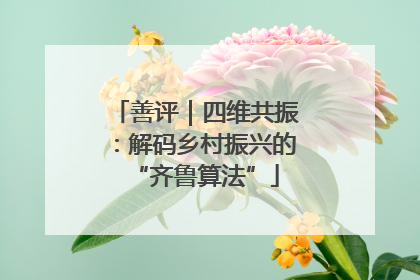 善评｜四维共振：解码乡村振兴的“齐鲁算法”