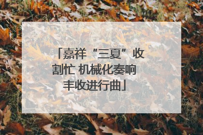 嘉祥“三夏”收割忙 机械化奏响丰收进行曲
