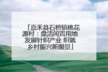 嘉禾县石桥镇桃花源村：盘活闲置用地发展针织产业 织就乡村振兴新图景
