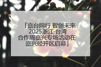 嘉台同行 智创未来 2025浙江·台湾合作周嘉兴专场活动在嘉兴经开区启幕