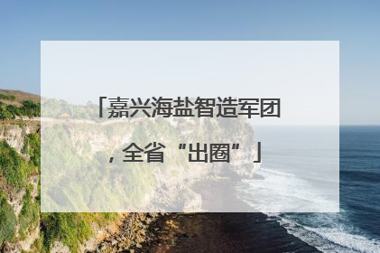 嘉兴海盐智造军团，全省“出圈”