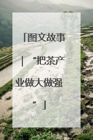 图文故事｜“把茶产业做大做强”