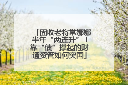 固收老将常娜娜半年“两连升”！靠“债”撑起的财通资管如何突围