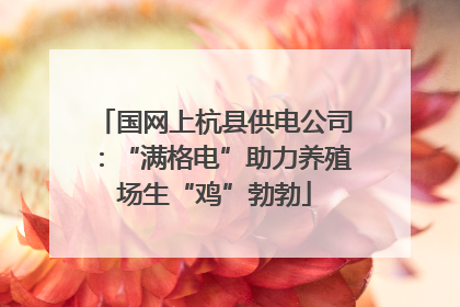 国网上杭县供电公司：“满格电”助力养殖场生“鸡”勃勃