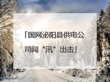 国网泌阳县供电公司闻“汛”出击