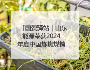 国资驿站｜山东能源荣获2024年度中国炼焦煤销量“十强”；全国首例铁路盖上智慧物流园钢结构主体完工