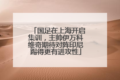 国足在上海开启集训，主帅伊万科维奇期待对阵印尼踢得更有进攻性