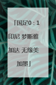 国足0∶1印尼 梦断雅加达 无缘美加墨