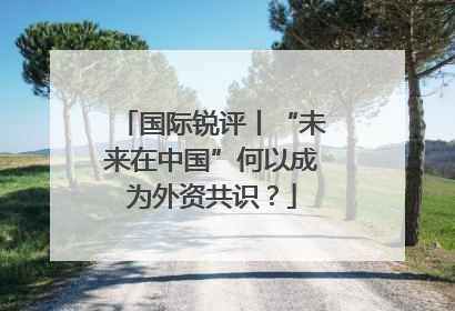 国际锐评丨“未来在中国”何以成为外资共识？