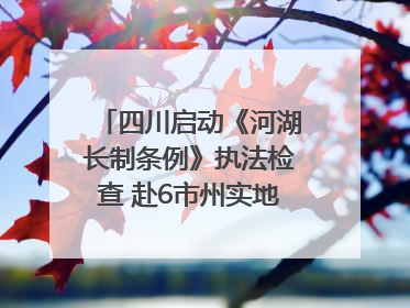 四川启动《河湖长制条例》执法检查 赴6市州实地暗访抽查｜四川人大之声
