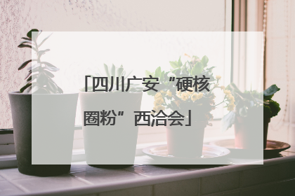 四川广安“硬核圈粉”西洽会