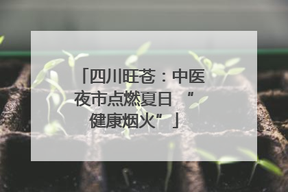 四川旺苍：中医夜市点燃夏日 “健康烟火”