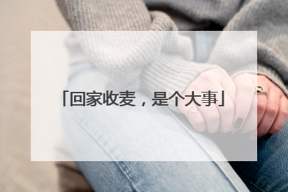回家收麦，是个大事