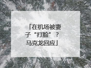 在机场被妻子“打脸”？马克龙回应
