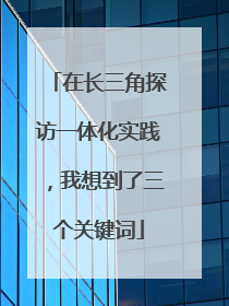 在长三角探访一体化实践，我想到了三个关键词