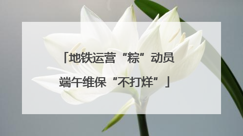 地铁运营“粽”动员 端午维保“不打烊”