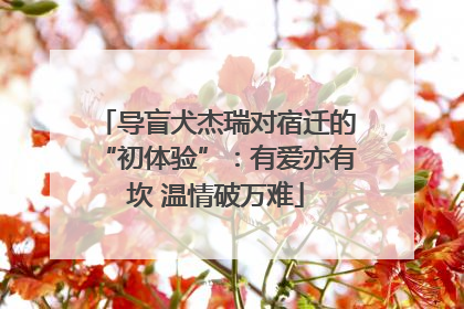 导盲犬杰瑞对宿迁的“初体验”：有爱亦有坎 温情破万难