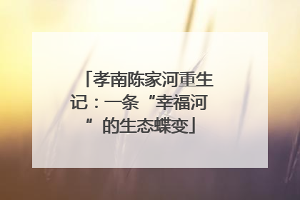 孝南陈家河重生记：一条“幸福河”的生态蝶变