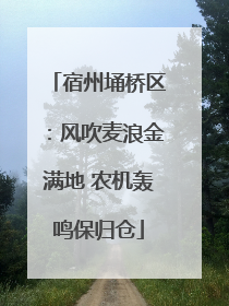 宿州埇桥区：风吹麦浪金满地 农机轰鸣保归仓